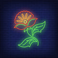Handmade neon sign of an abstract flower emblem in bright red, orange, yellow, and green.