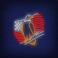 American Flag And Eagle Neon Sign
