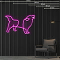 border colie dog pink neon sign