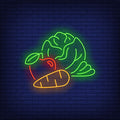 Cabbage, Apple And Carrot Neon Sign