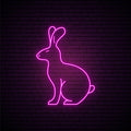 hare pink neon sign