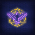 Hexagram In Circle With Bird Neon Sign