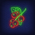 Red Currant Berries Neon Sign