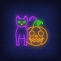 Scary Pumpkin And Cat Neon Sign