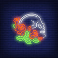 Skull Profile In Roses Neon Sign