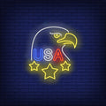 USA Eagle Neon Sign
