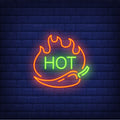Hot Neon Text With Chili Pepper And Fire Flames Neon Sign
